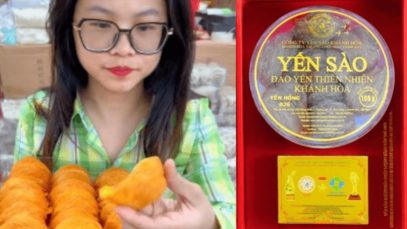 Bí Ẩn Màu Sắc Tổ Yến Thiên Nhiên – Huyết, Hồng, Bạch Yến