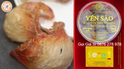 Giải Mã Vì Sao Tổ Huyết Yến Đảo Luôn Đắt Giá Và Hiếm Có