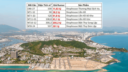 bang-gia-vin-nt-2026